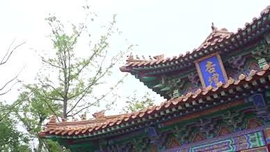 建筑古建筑杏坛视频的预览图